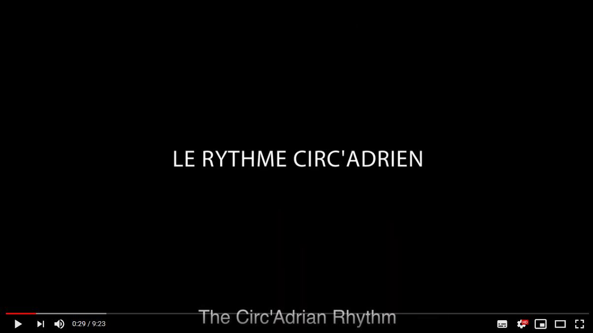 RhythmeCirca