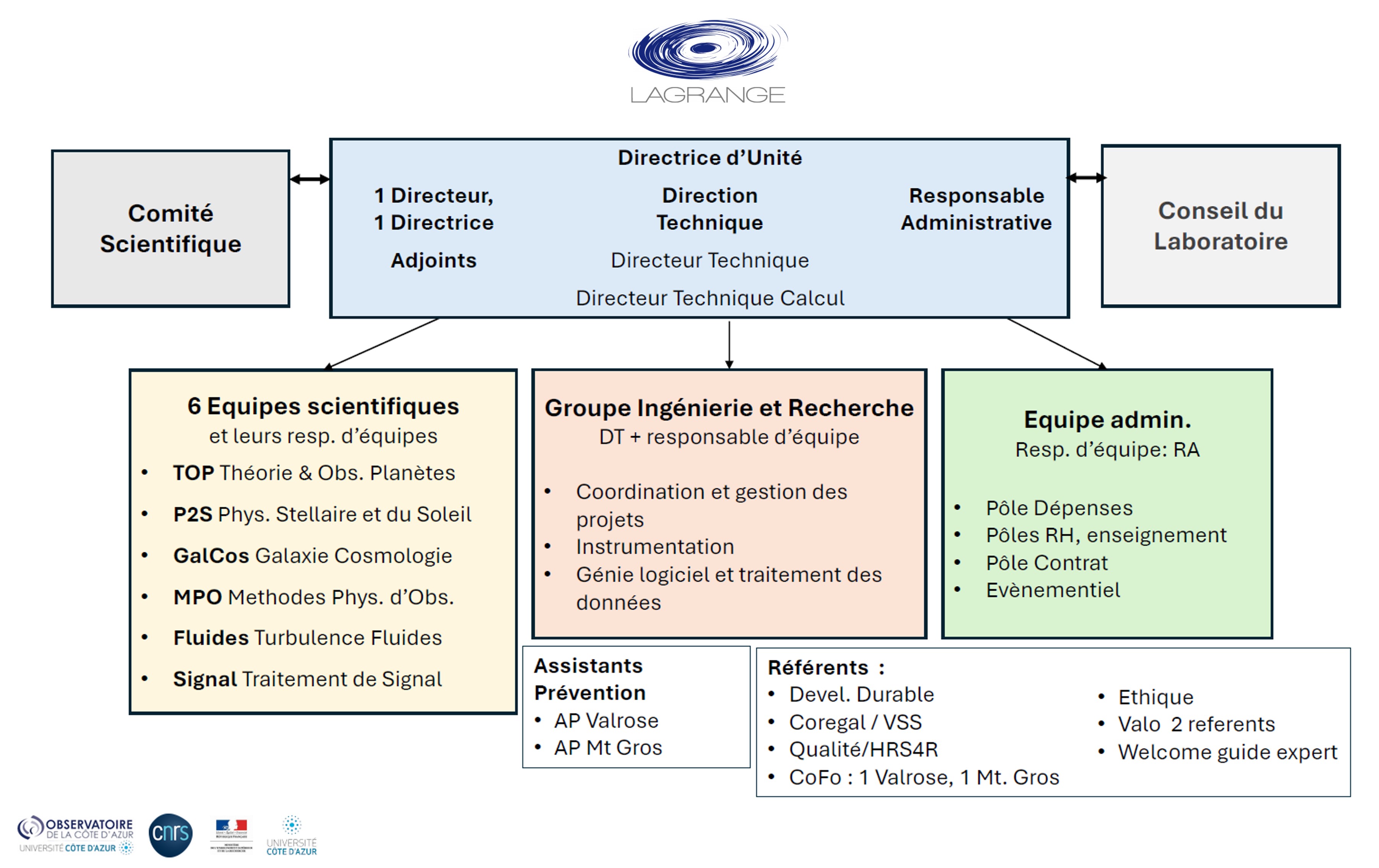 organigramme 2024